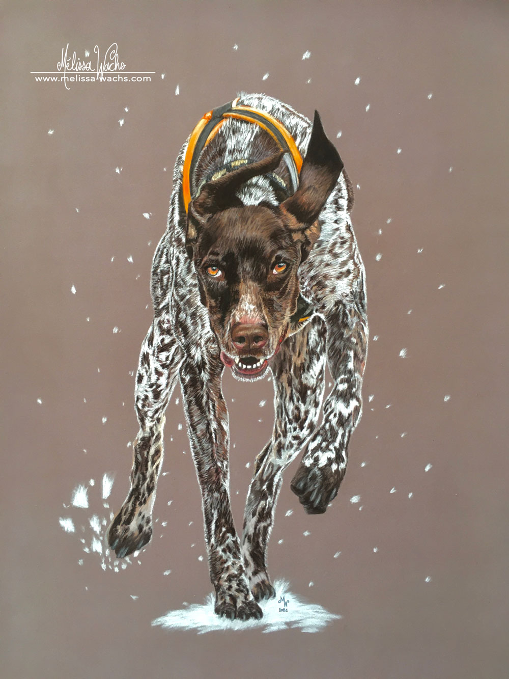 Greyster dog portrait, pastel drawing by Mélissa WACHS