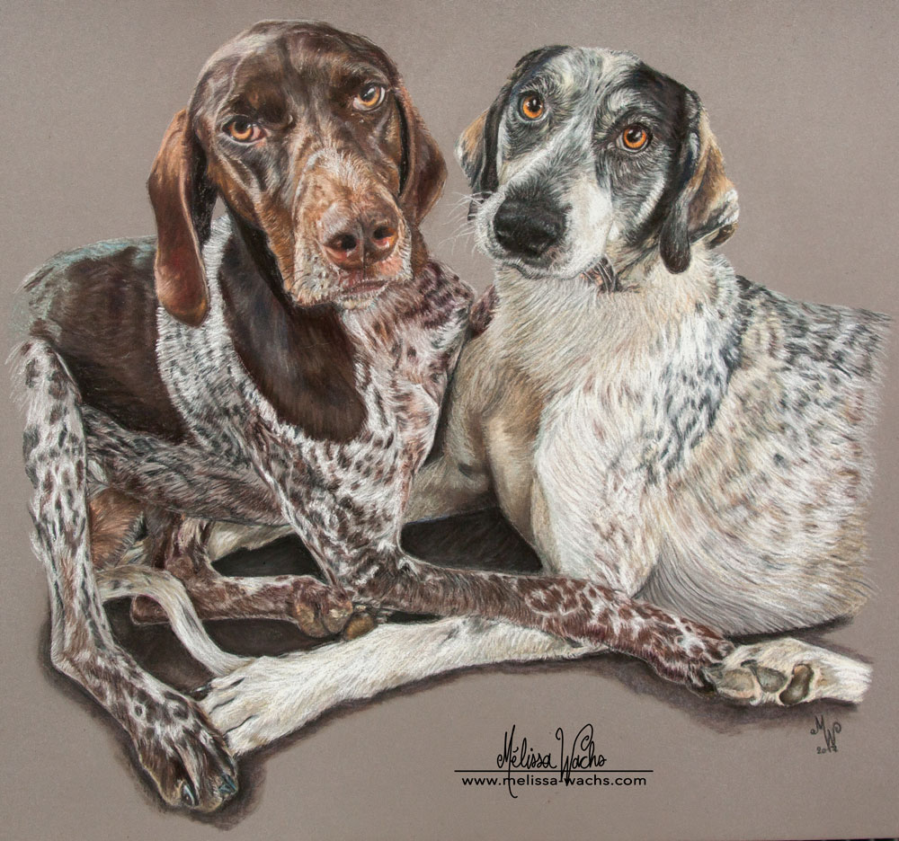 Greysters aux pastels par Mélissa WACHS