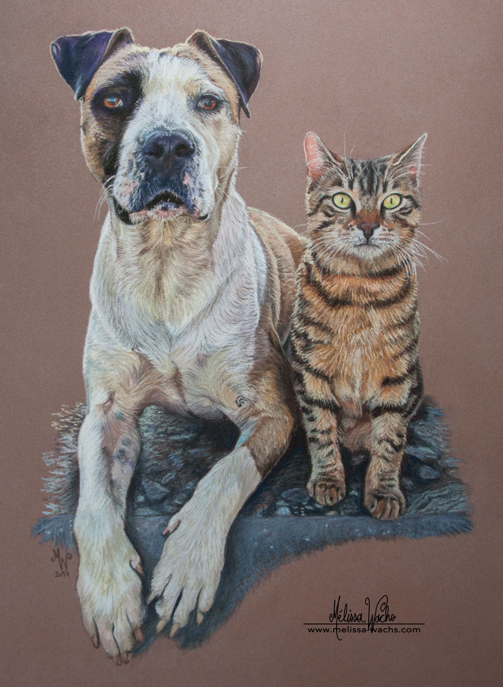 Chat et chien, dessin aux pastels par Mélissa WACHS