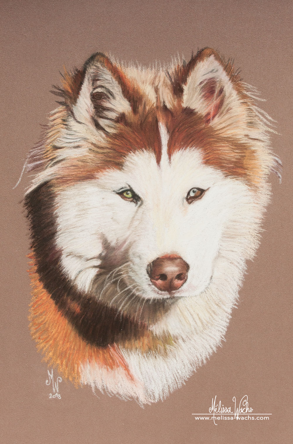 Portrait de chien aux pastels par Mélissa WACHS