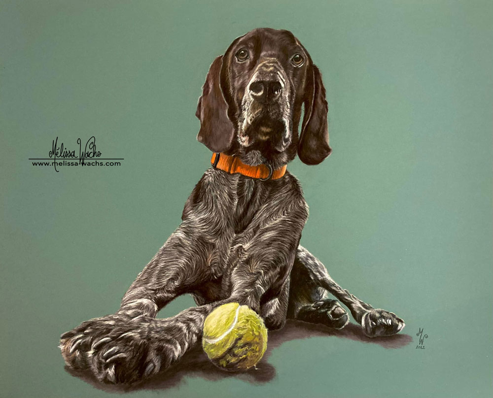 Portrait de Greyster aux pastels par Mélissa WACHS