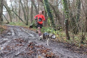 Read more about the article Teaching my dog to pull for canicross : how to proceed ?