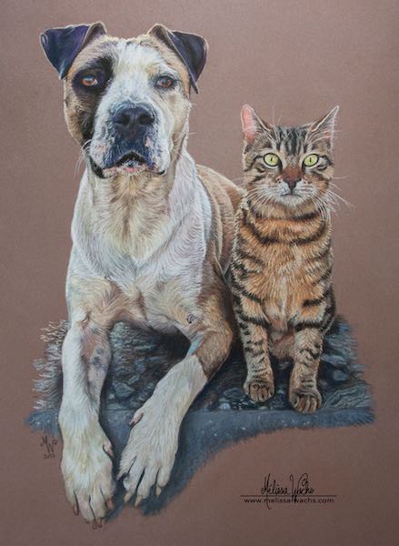 Chat et chien, dessin aux pastels par Mélissa WACHS