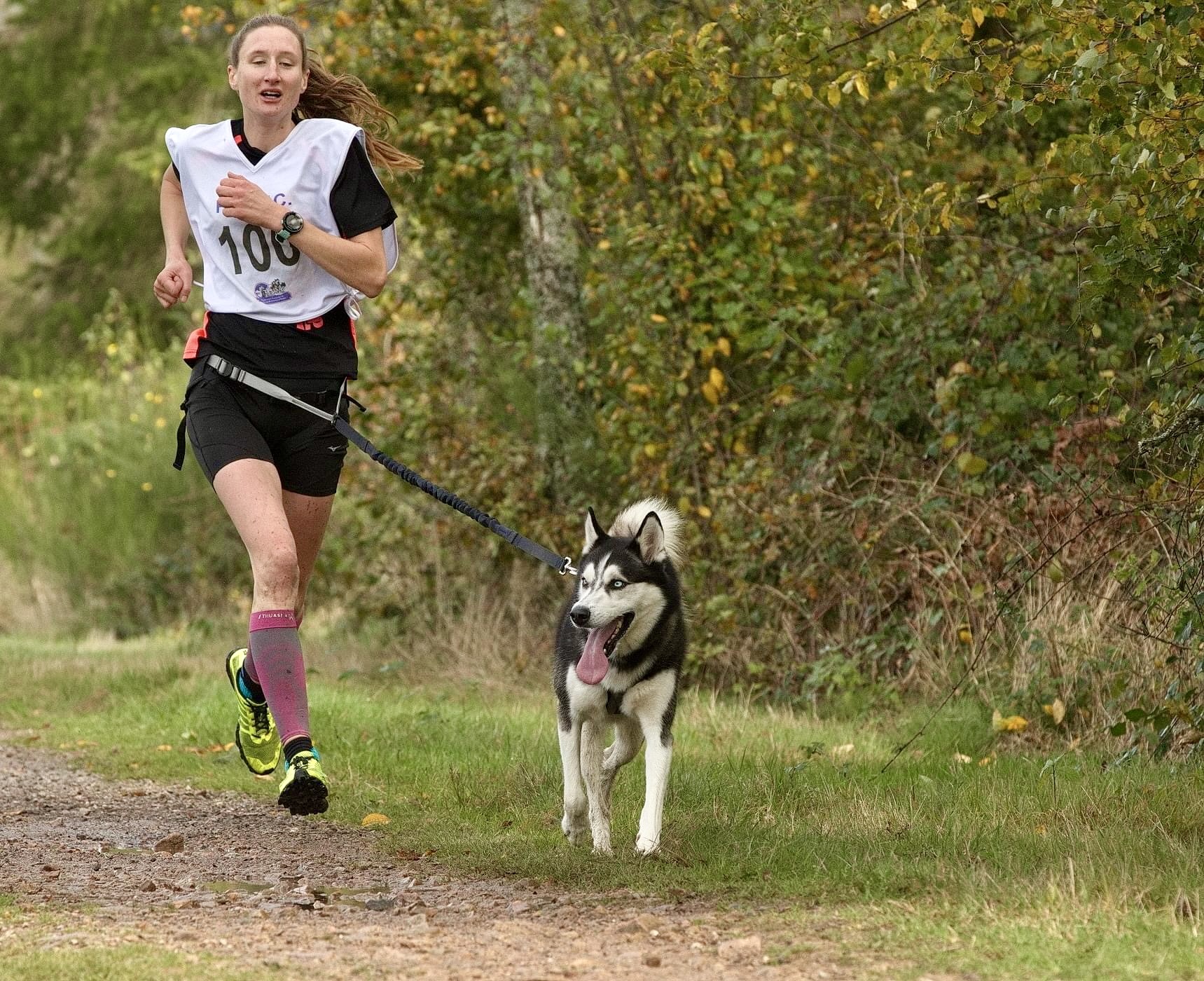 Canicross avec son chien en course en extérieur