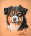 Dog portrait, pastel drawing by Mélissa WACHS