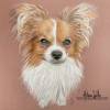 Papillon-pastel-web
